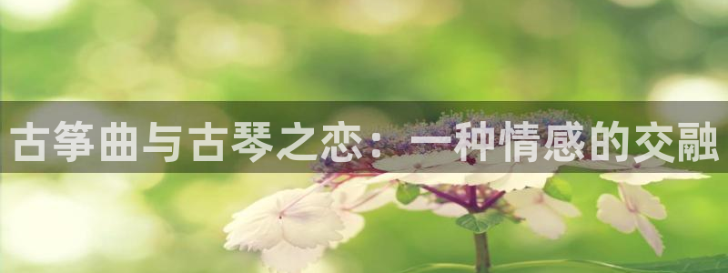 凯发k8娱乐旗舰:古筝曲与古琴之恋:一种情感的交融